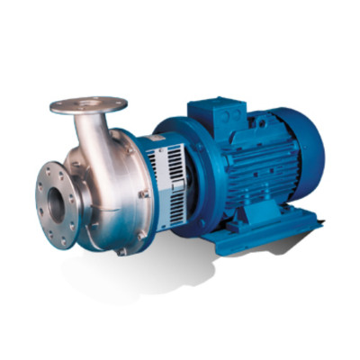 Salvatore Robuschi RS (RSM-RSA) 2 pole ISO 5199 Pump